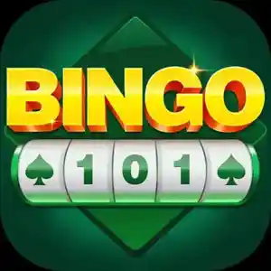 Bingo 101